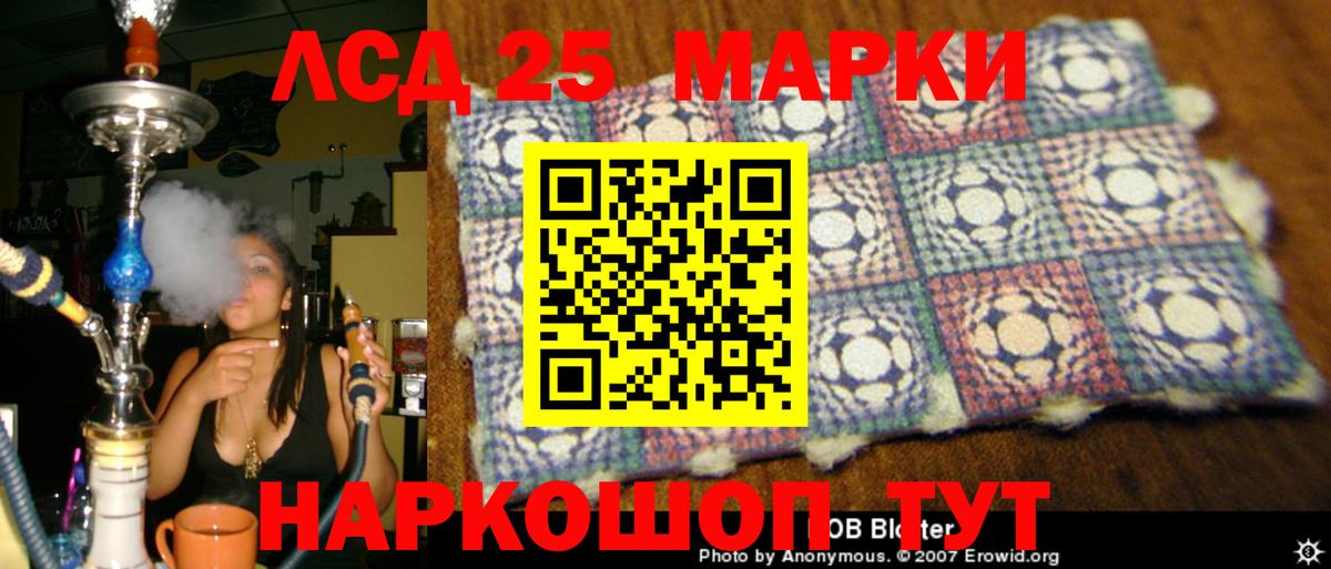 Курчатов  Лсд 25 экстази  Вход с VPN  ЛСД экстази ecstasy  ЛСД экстази ecstasy 